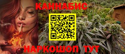 меф Кингисепп