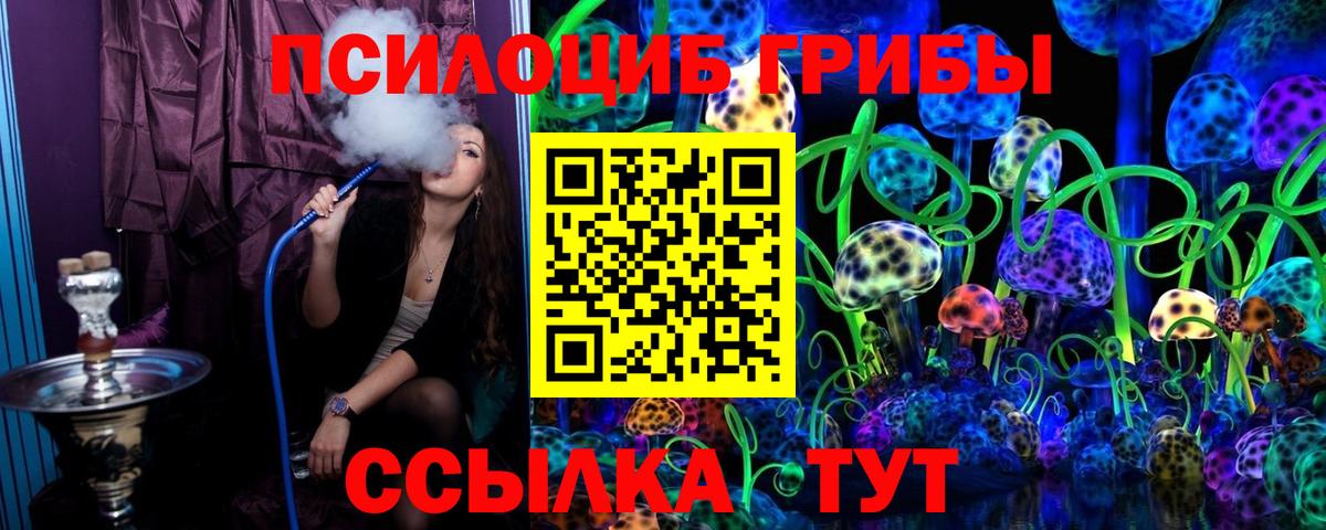 Галлюциногенные грибы MAGIC MUSHROOMS  Псилоцибиновые грибы прущие грибы  Курчалой  Вход с VPN 