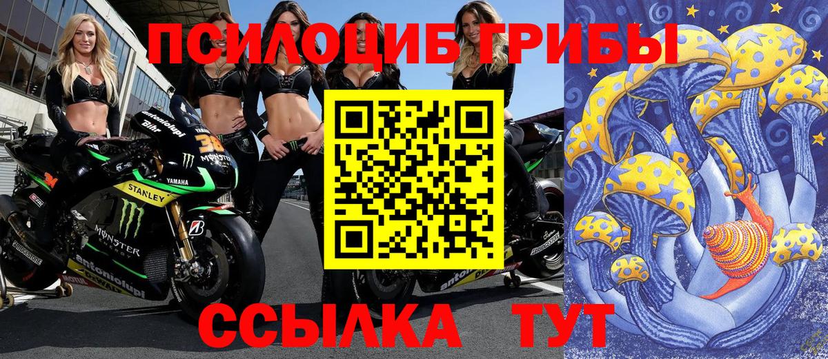 Галлюциногенные грибы GOLDEN TEACHER Курчалой